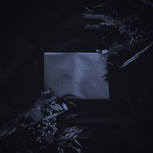 户外内射高清视频拍摄
